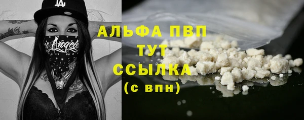 эйфоретик Богданович