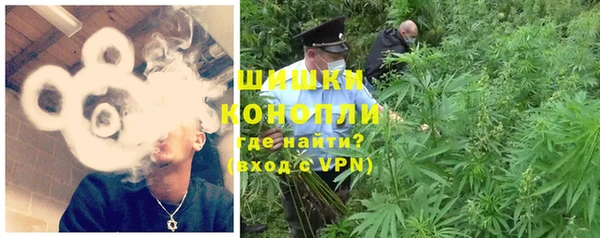 эйфоретик Богданович
